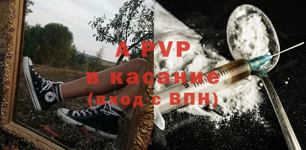 дмт Магас