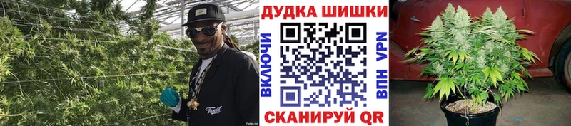 наркота  Саянск  Бошки марихуана Amnesia 